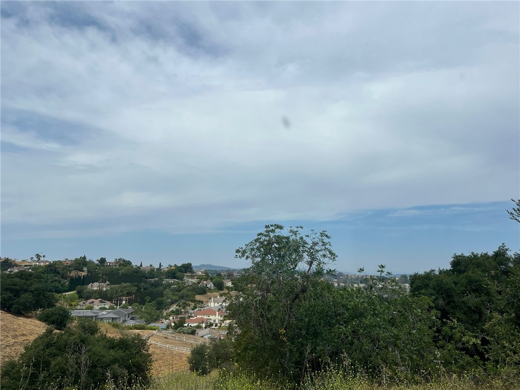 2557 Blaze Trail
