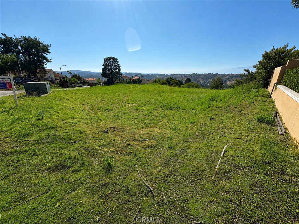3145 Steeplechase Lane