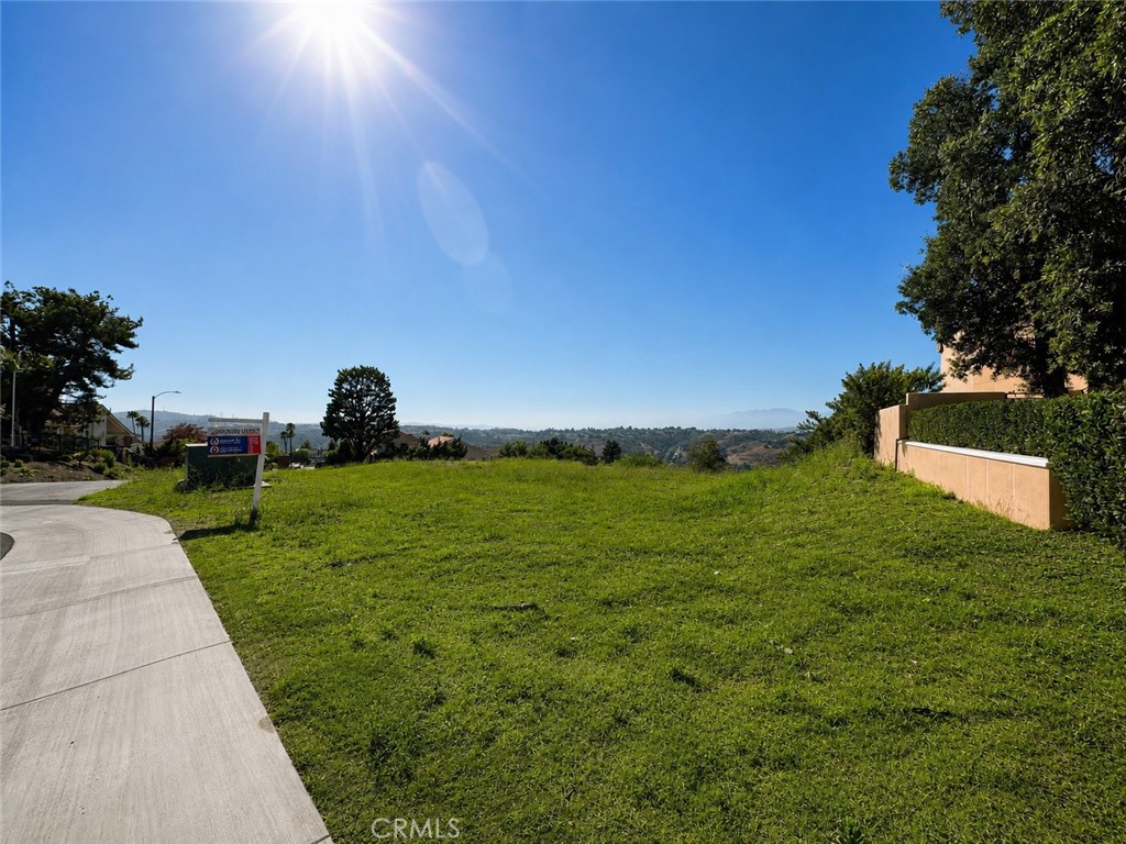 3145 Steeplechase Lane