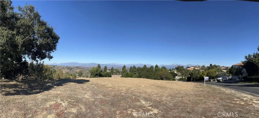 3121 Steeplechase Ln