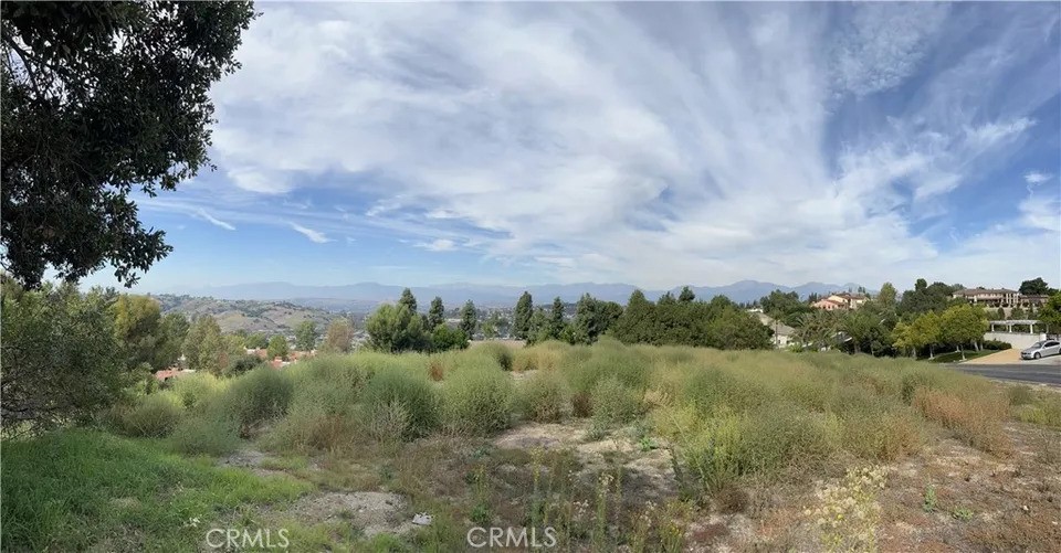 3121 Steeplechase Ln