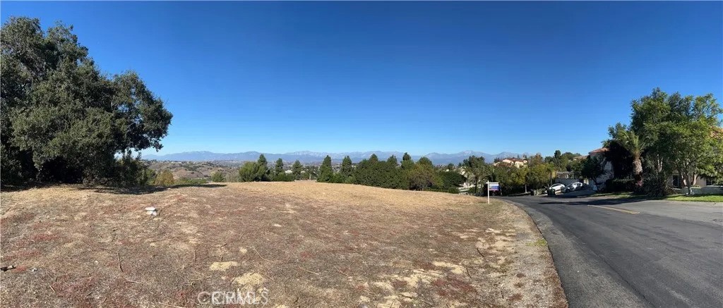 3121 Steeplechase Ln