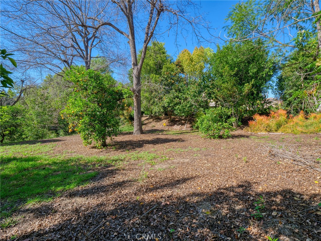 1435 Subtropic Drive