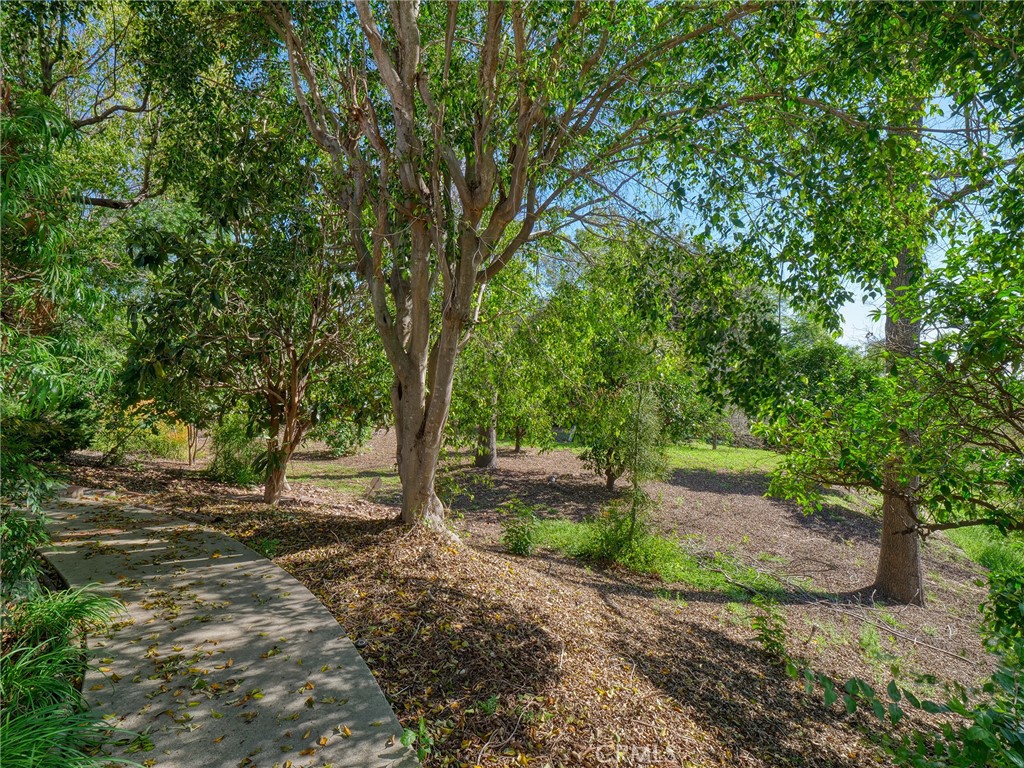 1435 Subtropic Drive