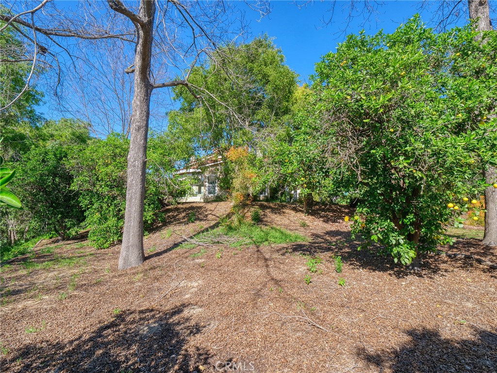 1435 Subtropic Drive