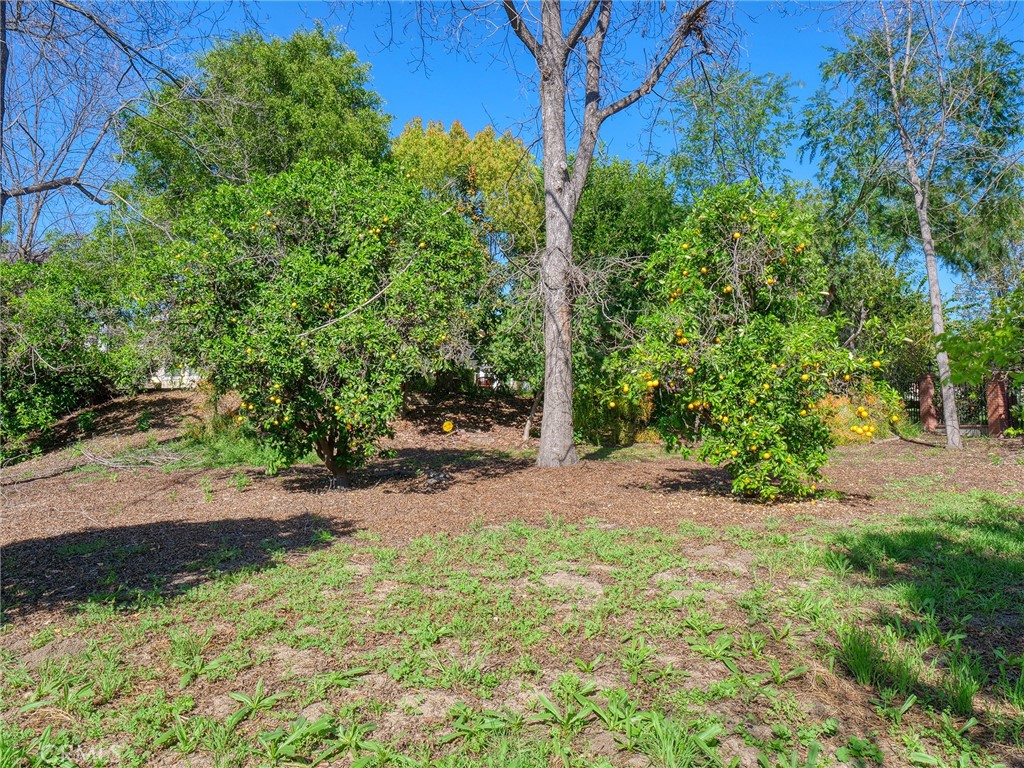 1435 Subtropic Drive