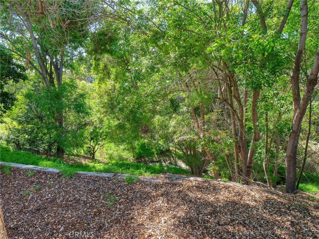 1435 Subtropic Drive