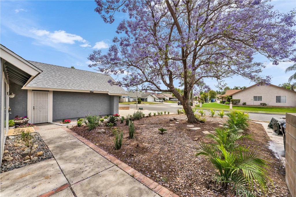 3724 Alder Place