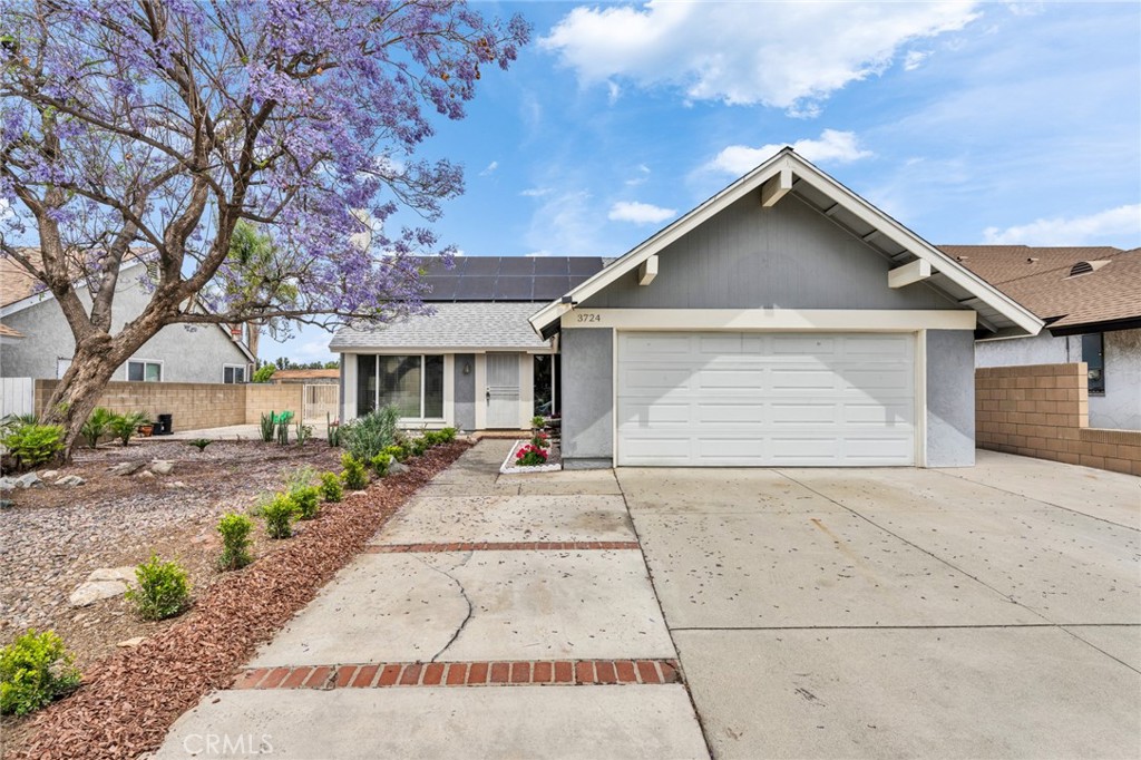 3724 Alder Place