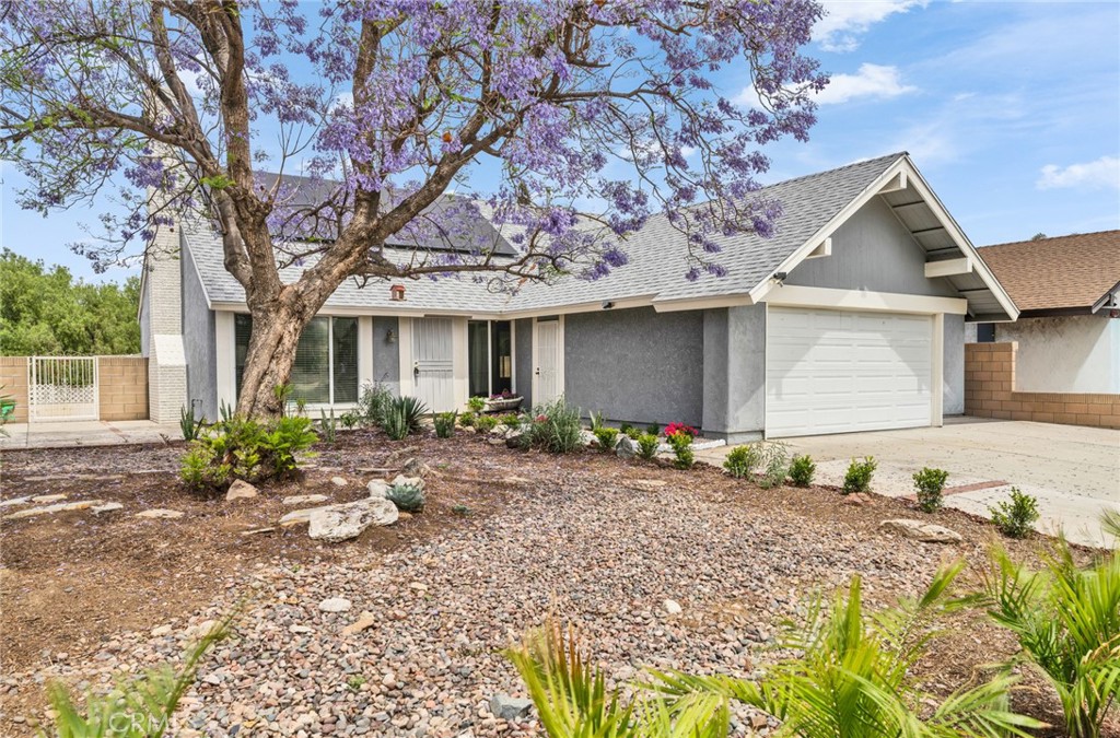 3724 Alder Place