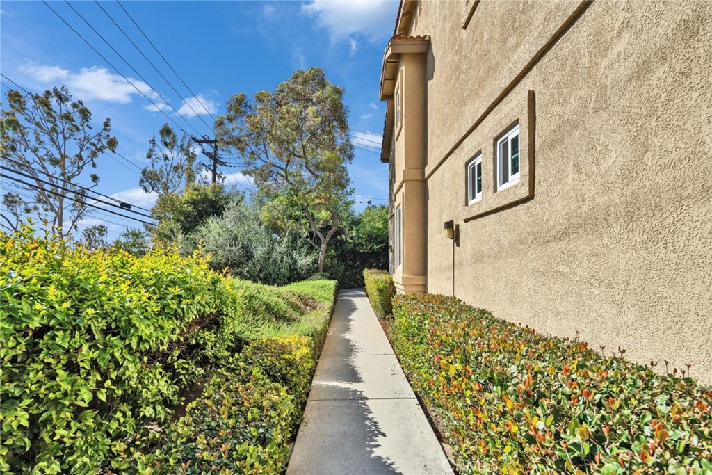 312 Torito Ln