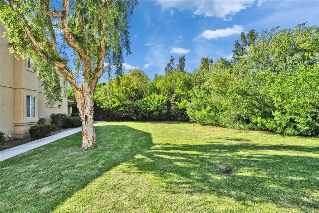 312 Torito Ln