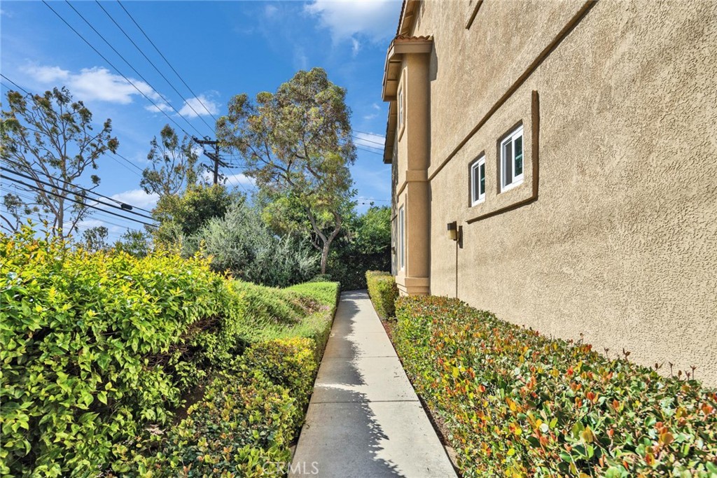 312 Torito Ln