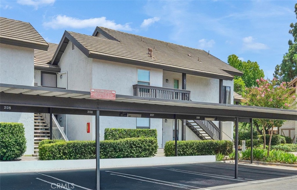 425 Orange Blossom 205