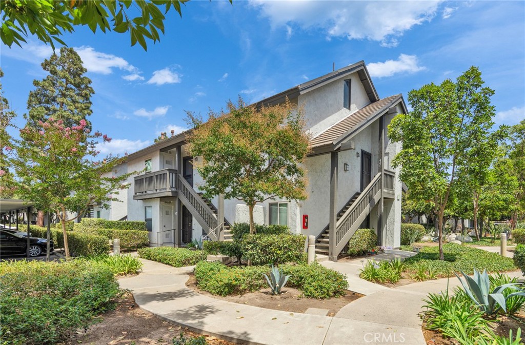 425 Orange Blossom 205