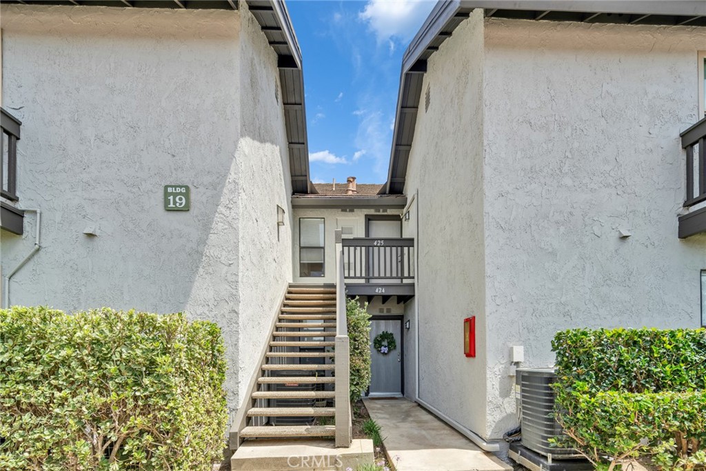 425 Orange Blossom 205