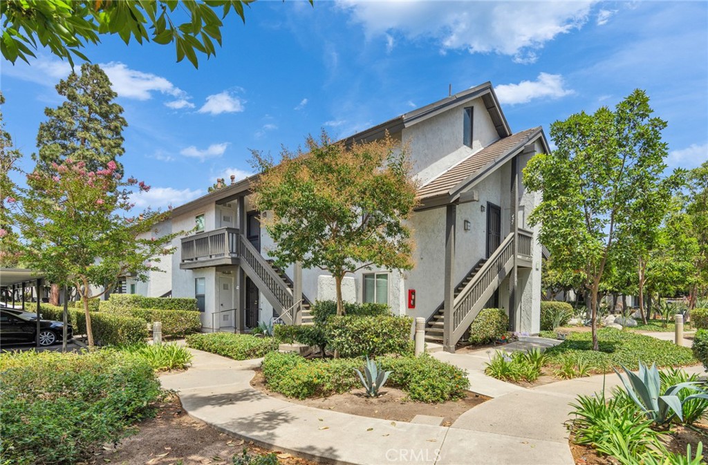 425 Orange Blossom 205