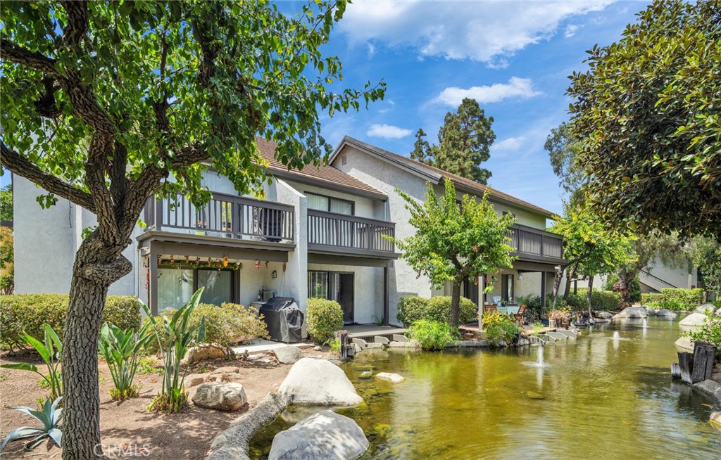 425 Orange Blossom 205