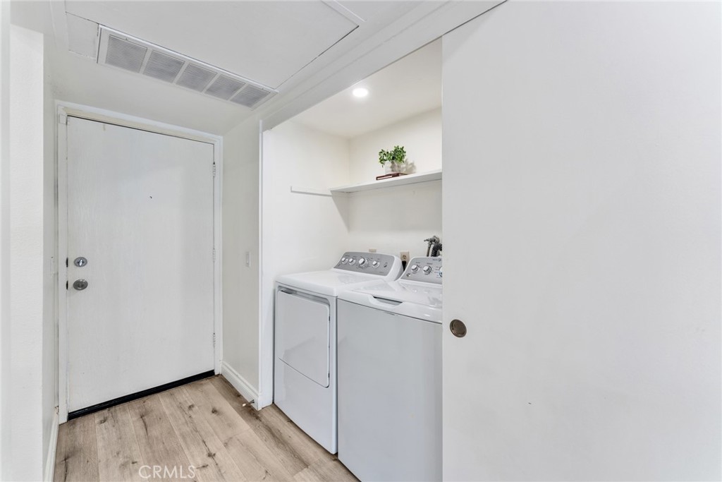 425 Orange Blossom 205