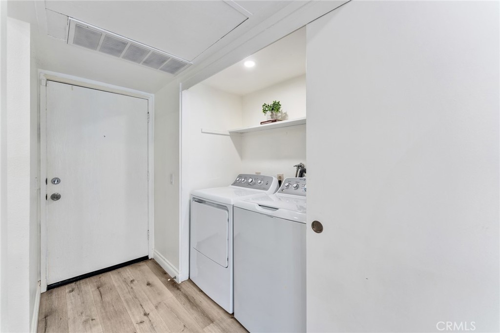 425 Orange Blossom 205
