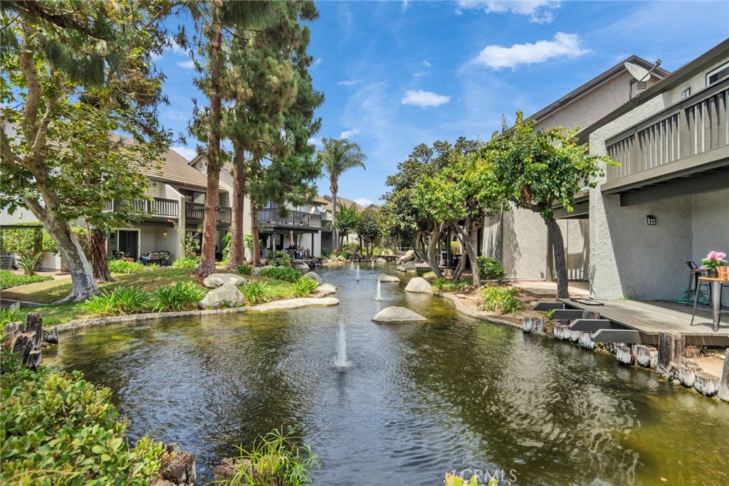 425 Orange Blossom 205