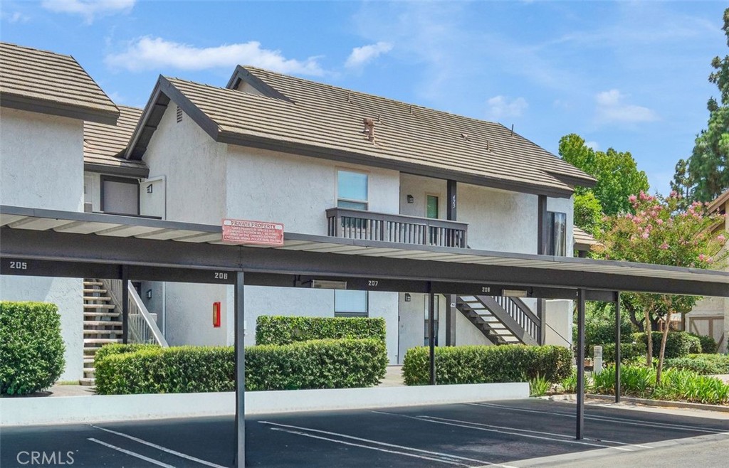 425 Orange Blossom 205