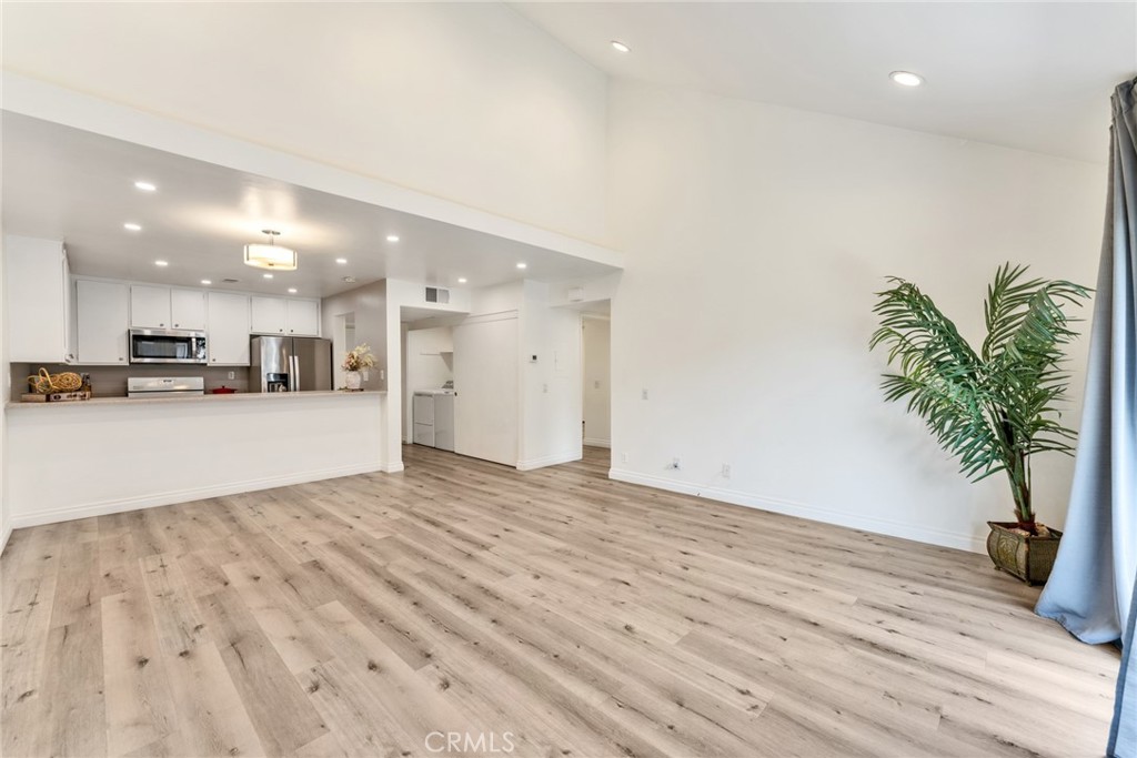 425 Orange Blossom 205
