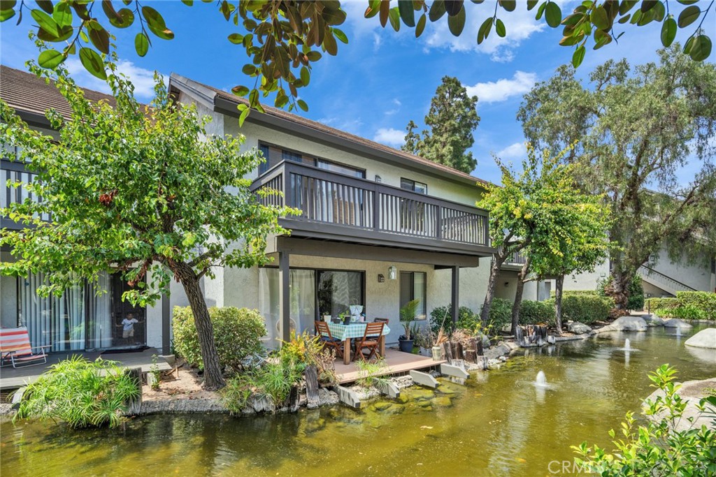 425 Orange Blossom 205