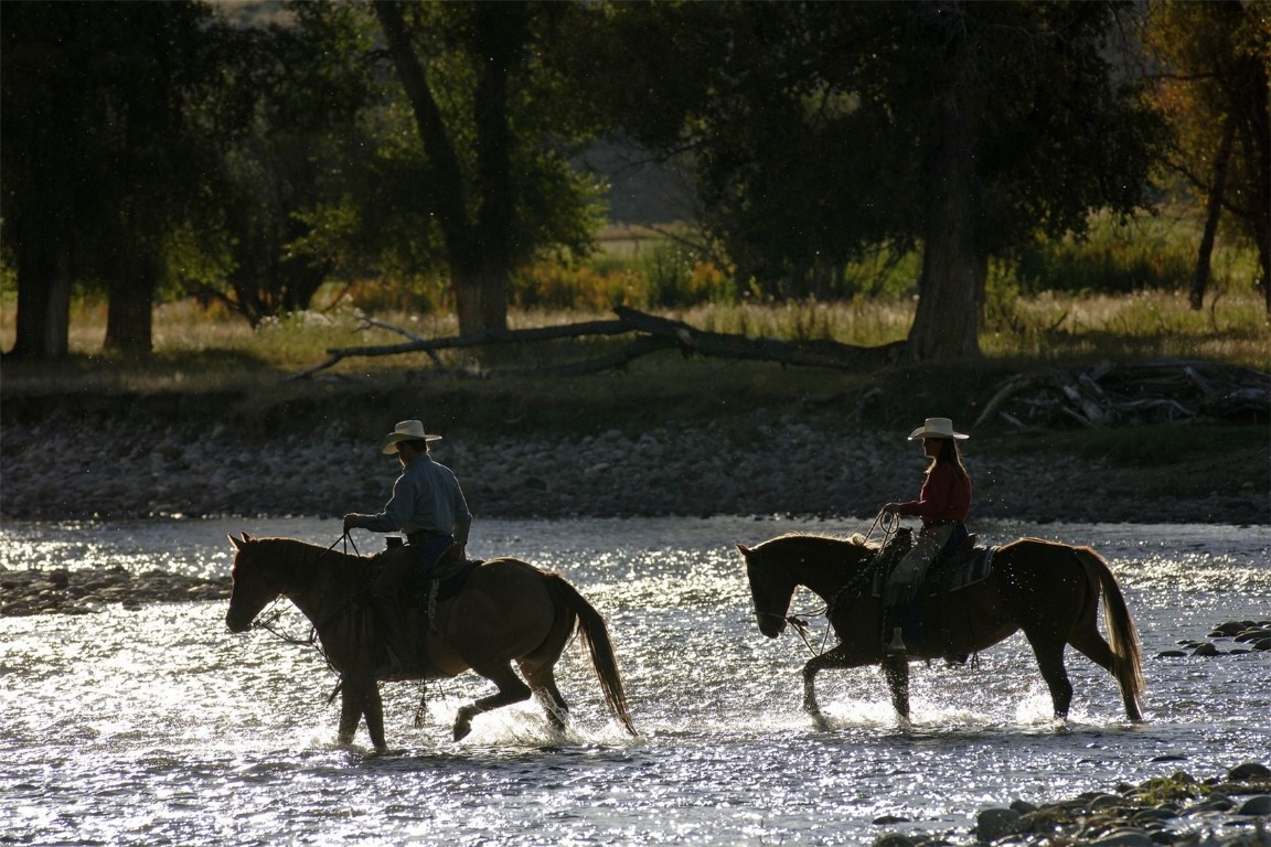 42260 Story Teller LANE