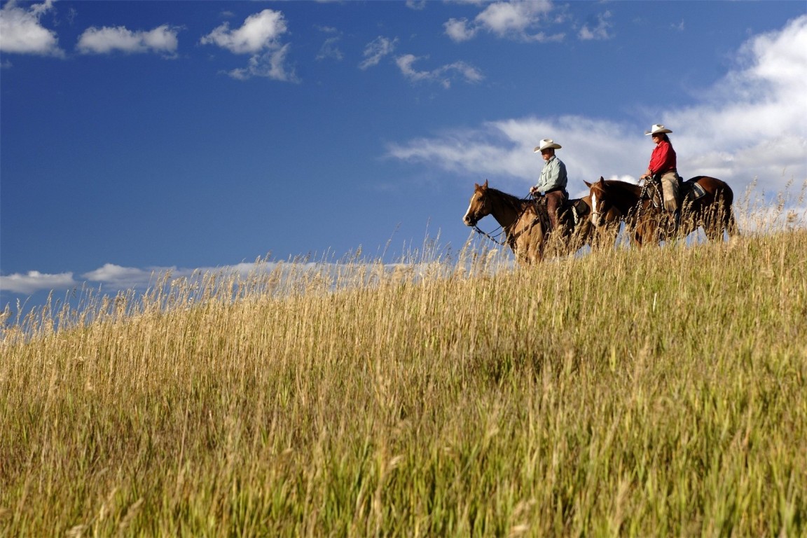 27155 Fire Song ROAD