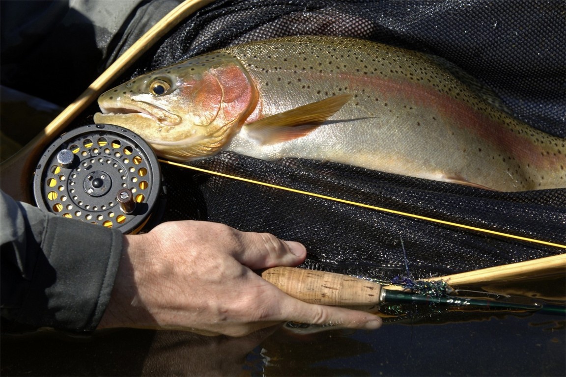 27155 Fire Song ROAD