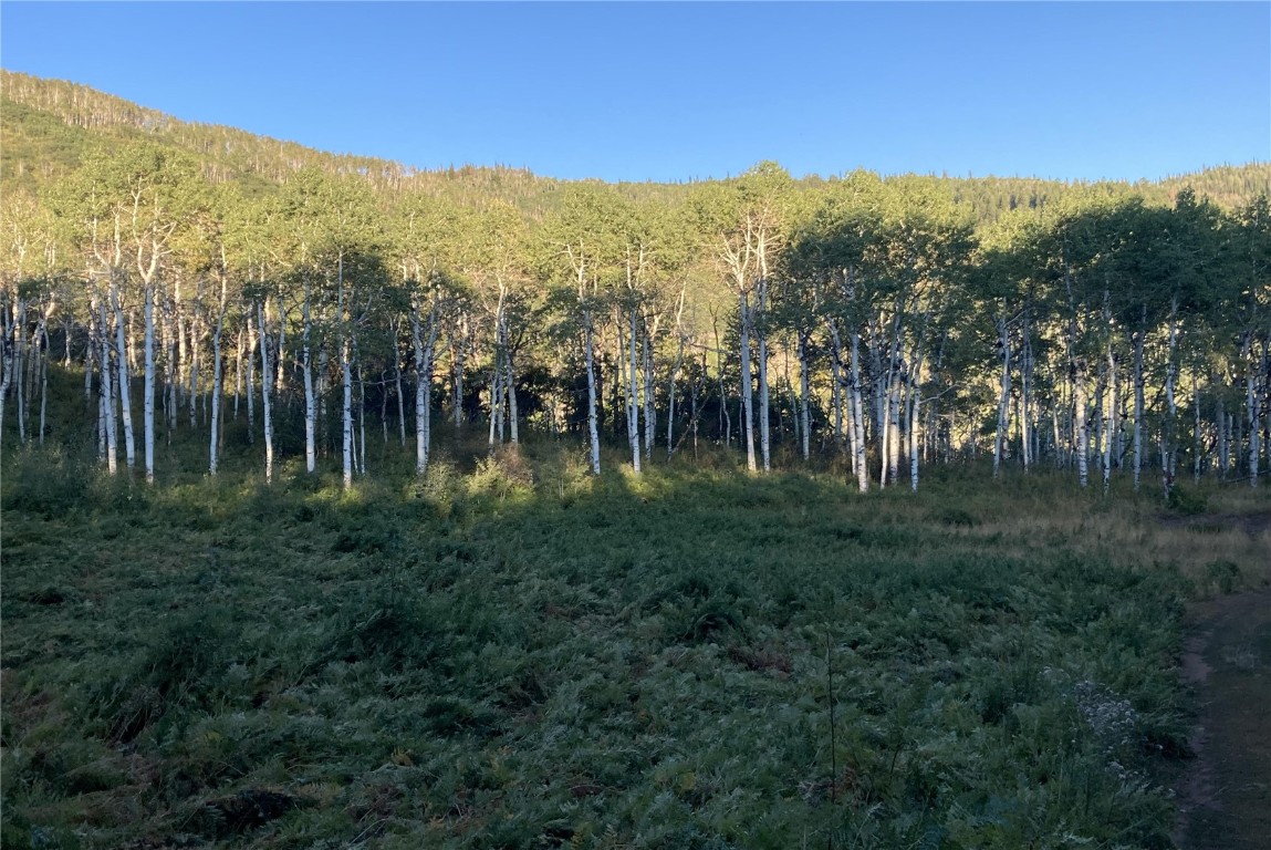 42070 County Road 129