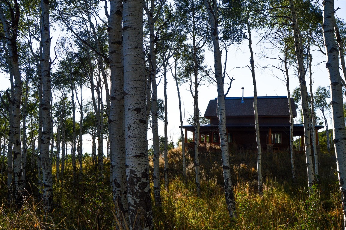 42070 County Road 129