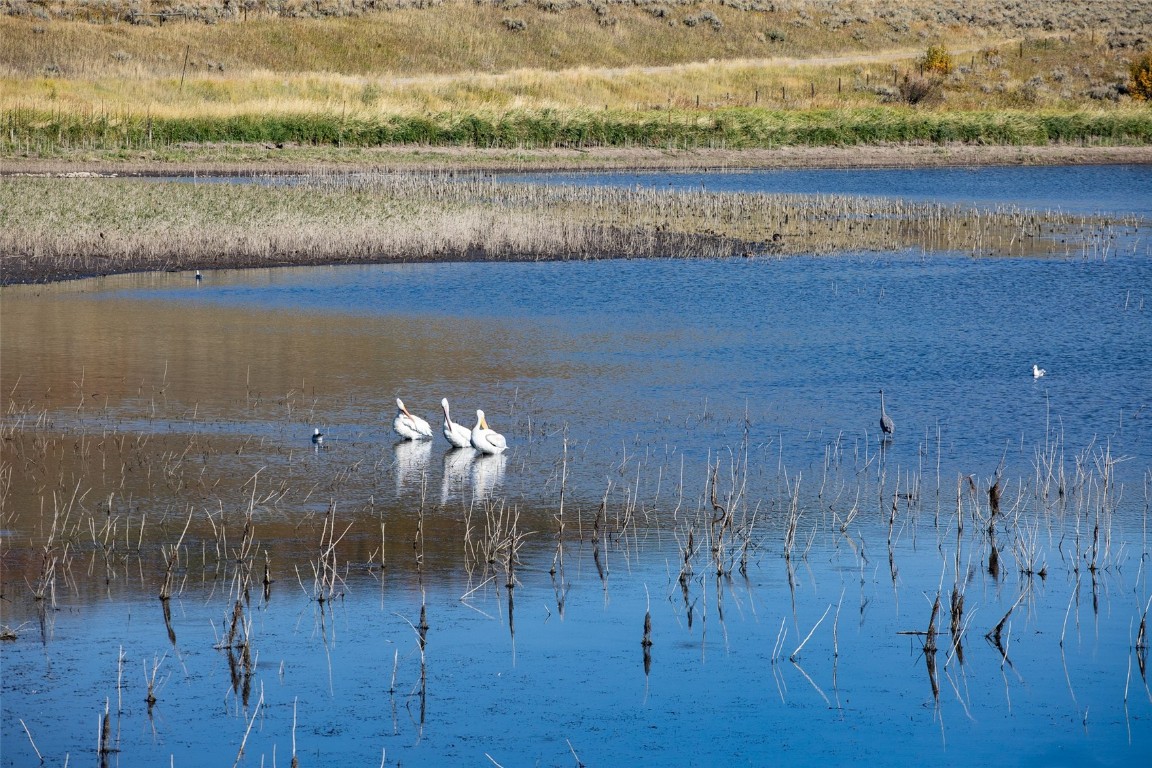 23700 Sagebrush CIRCLE