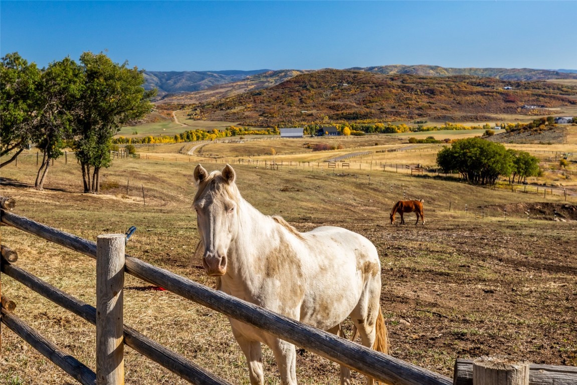 44300 Diamondback WAY