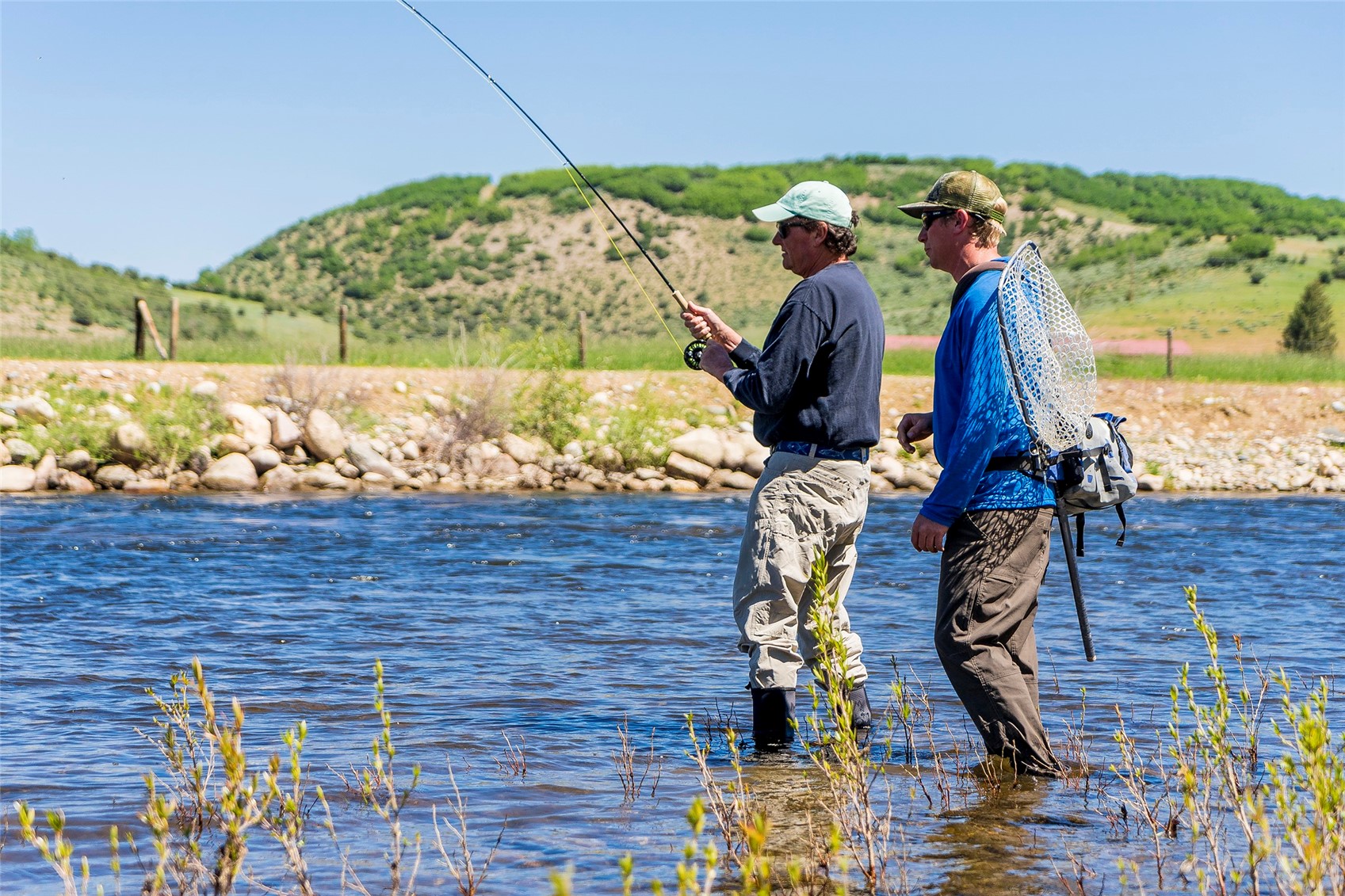 26705 Wild Iris PATH