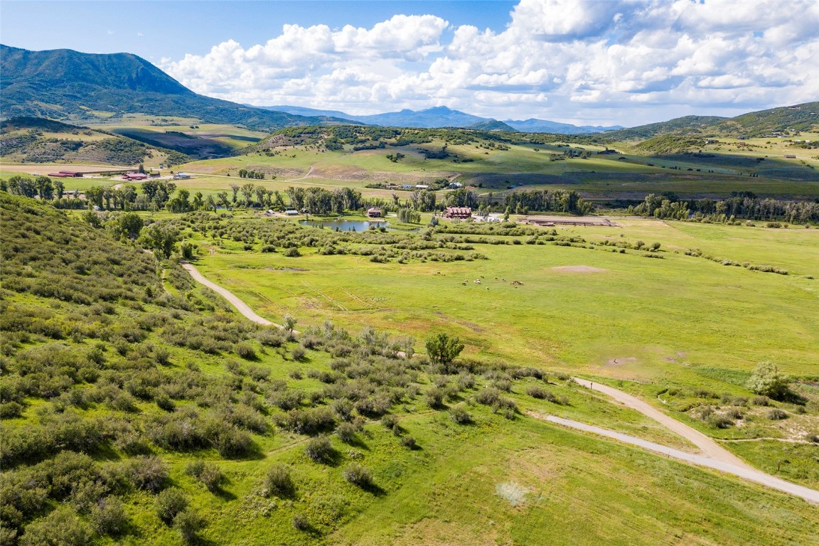 26705 Wild Iris PATH