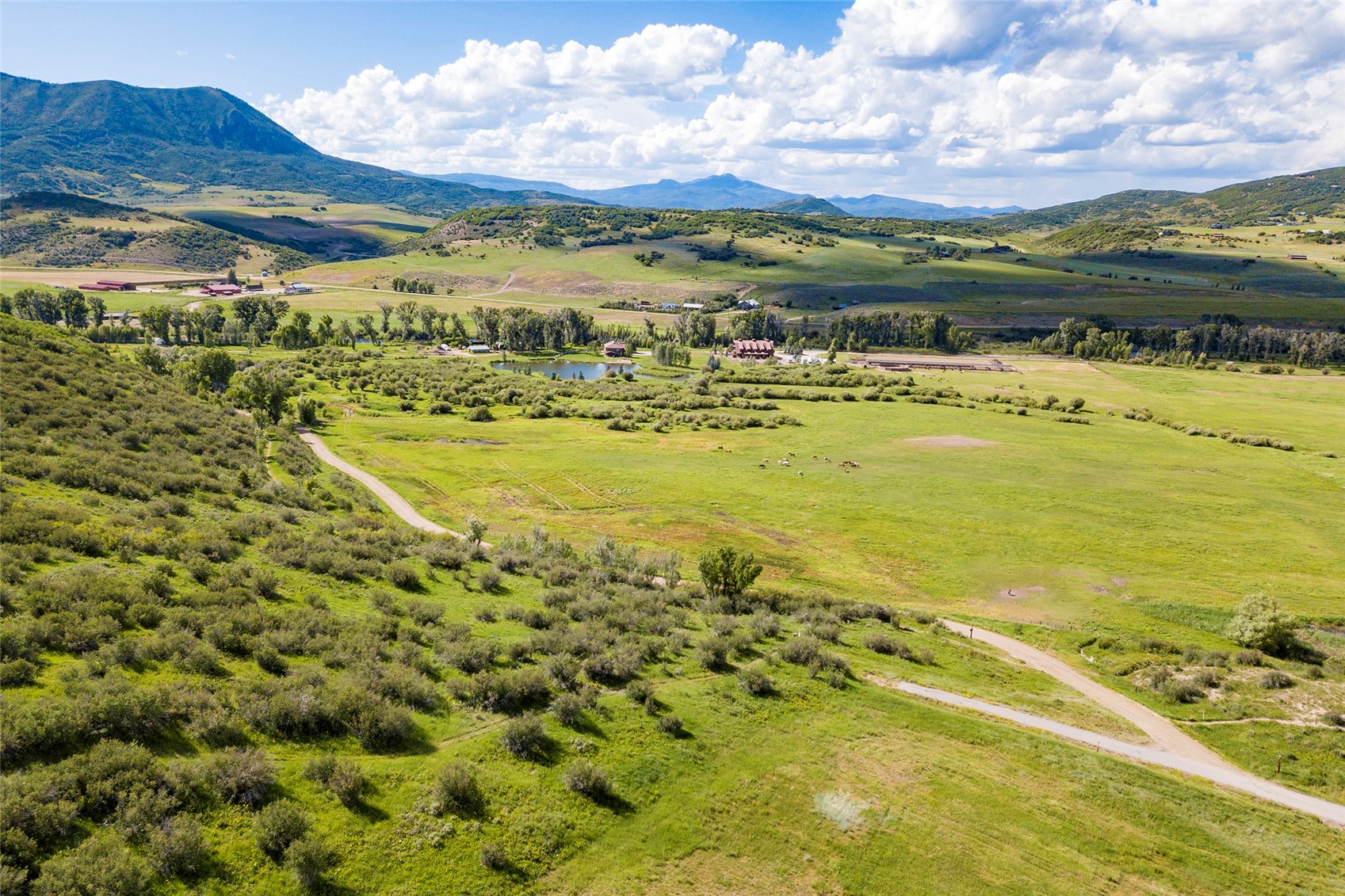 26705 Wild Iris PATH