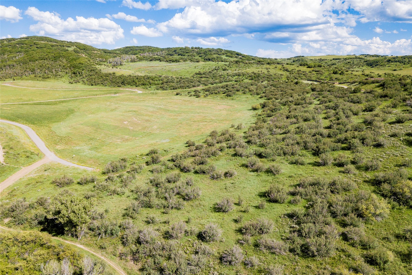 26705 Wild Iris PATH