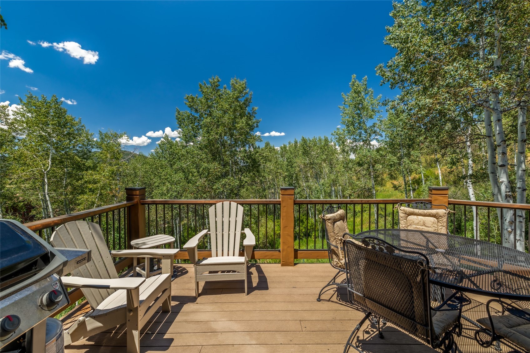2897 Ski Trail LANE