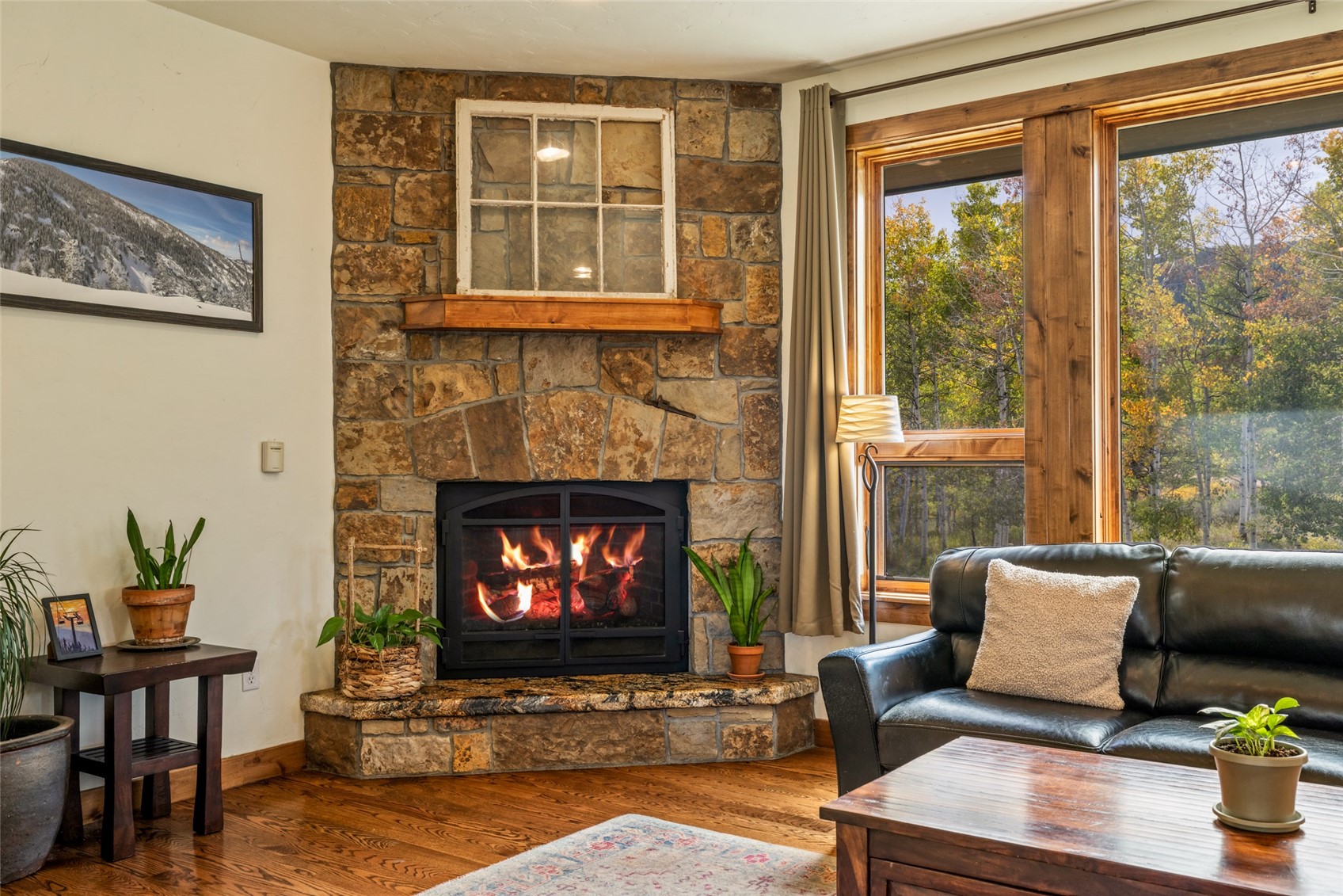 30230 Coyote Run COURT