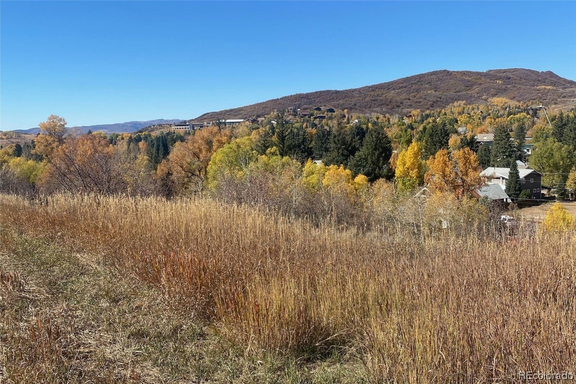 0000 Maple Circle STREET