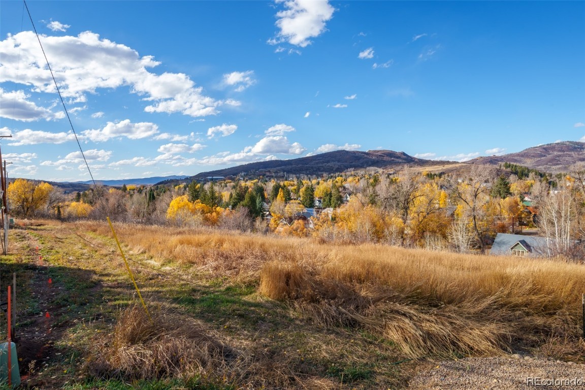 0000 Maple Circle STREET