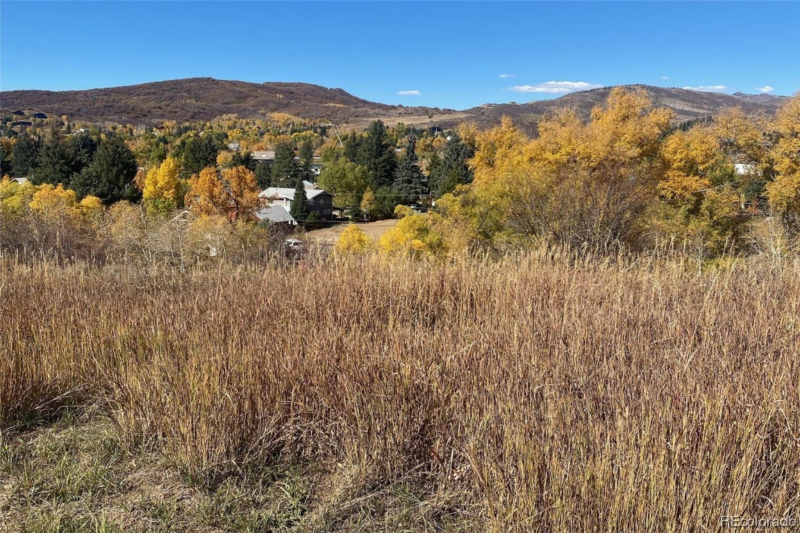 0000 Maple Circle STREET