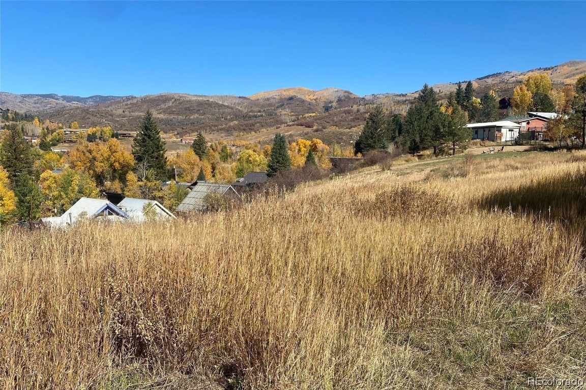 0000 Maple Circle STREET