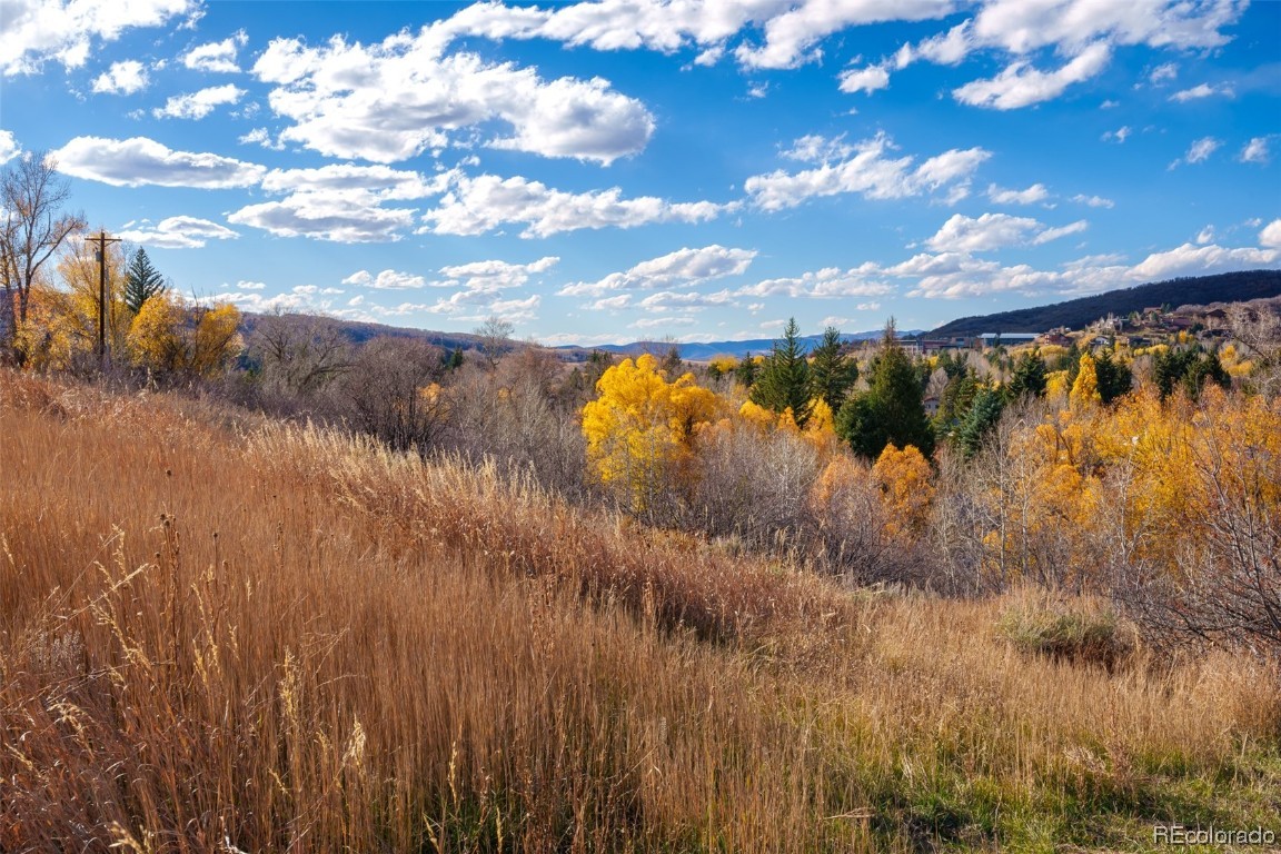 0000 Maple Circle STREET