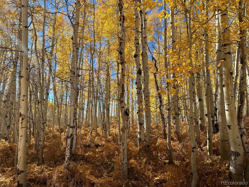 0000 Beaver Canyon DRIVE