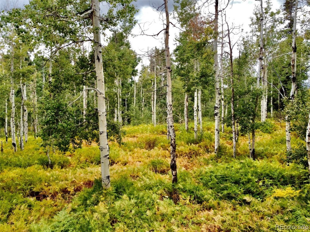 0000 Beaver Canyon DRIVE