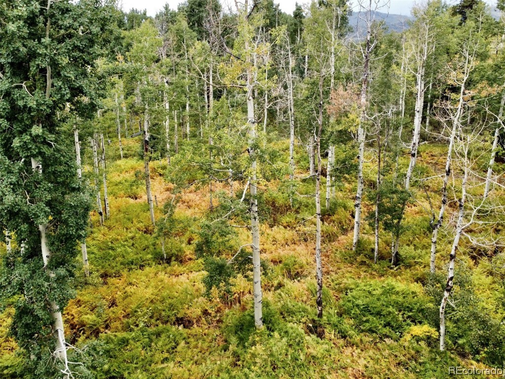 0000 Beaver Canyon DRIVE