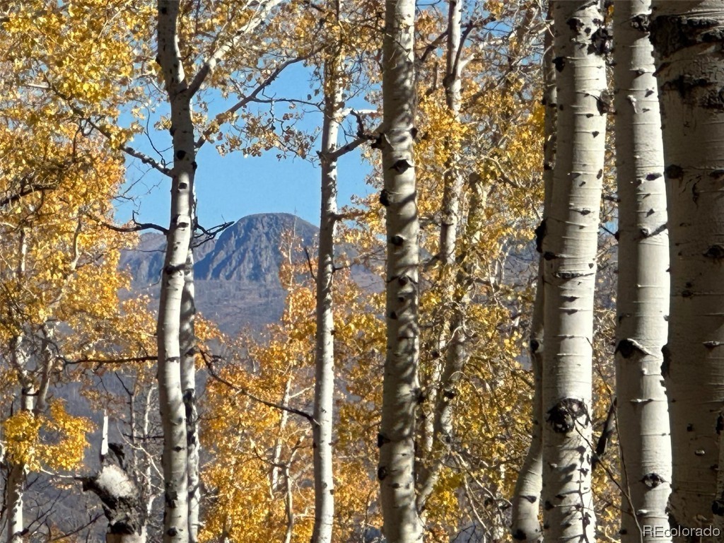 0000 Beaver Canyon DRIVE